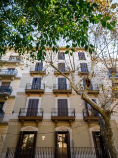 Casa Tamarit; Balconies, plane trees and a street that already feels like yours. 🧡

#envilleapartments #servicedapartments
#servicedapartmentsbarcelona #airbnbsuperhost #barcelona