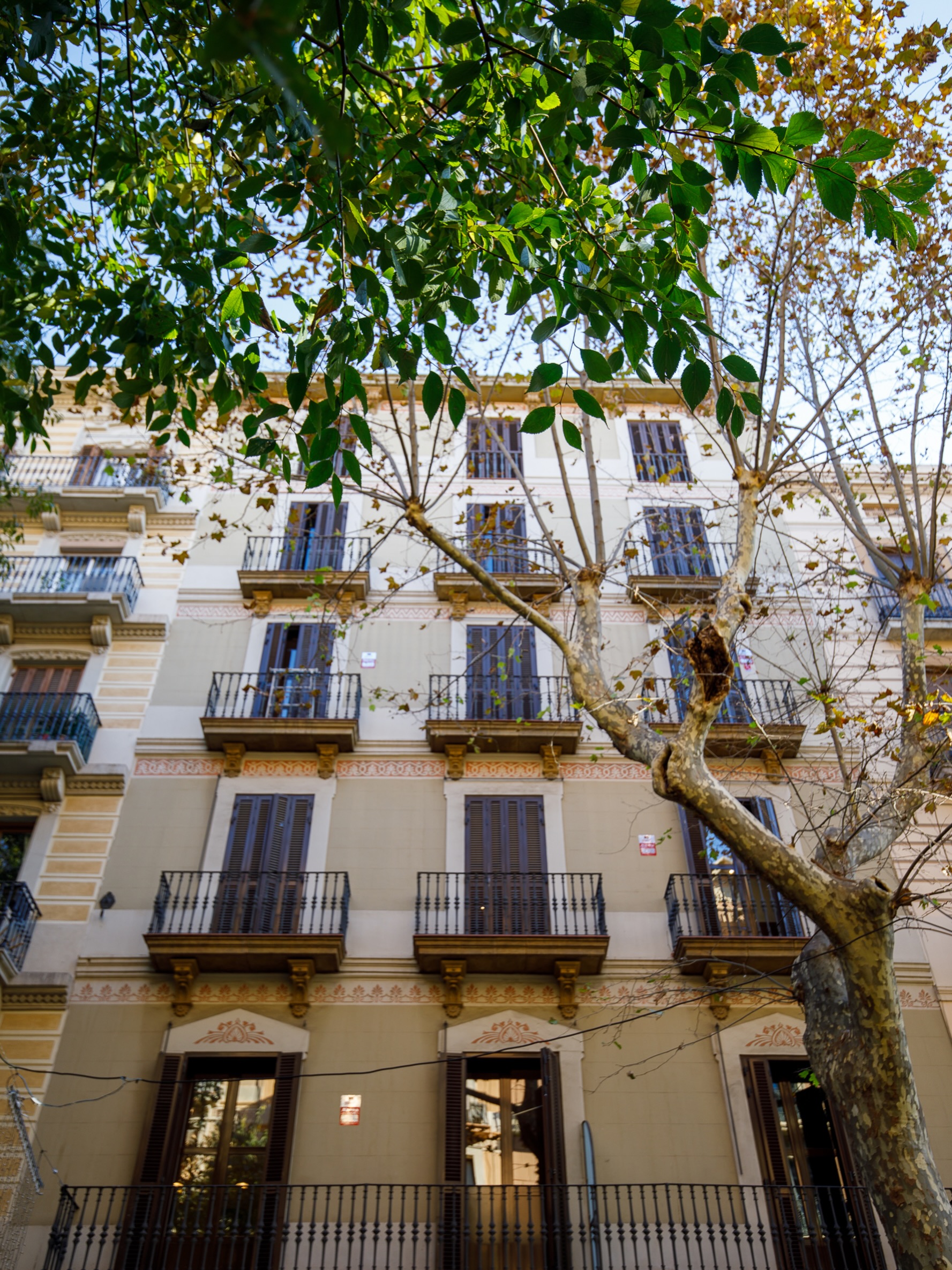 Casa Tamarit; Balconies, plane trees and a street that already feels like yours. 🧡

#envilleapartments #servicedapartments
#servicedapartmentsbarcelona #airbnbsuperhost #barcelona